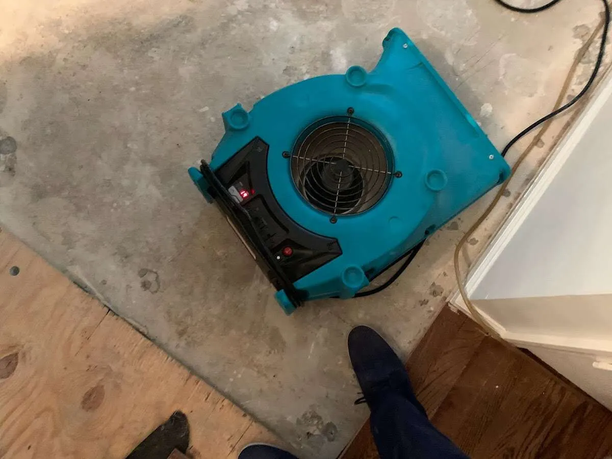 Air mover drying subfloor during Leak Detection & Repair in Iola